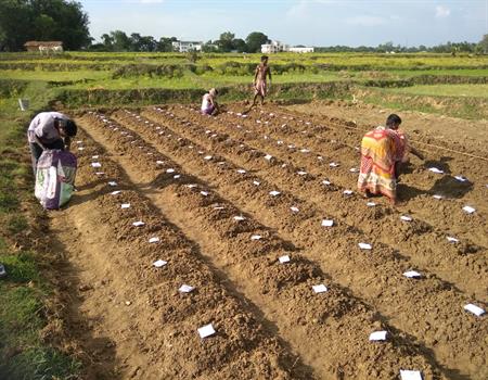 Amarkanan Rural Socio Environmental Welfare Society