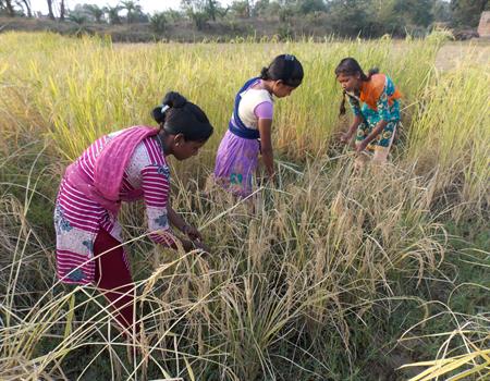 Amarkanan Rural Socio Environmental Welfare Society