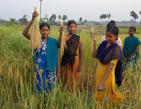 Amarkanan Rural Socio Environmental Welfare Society